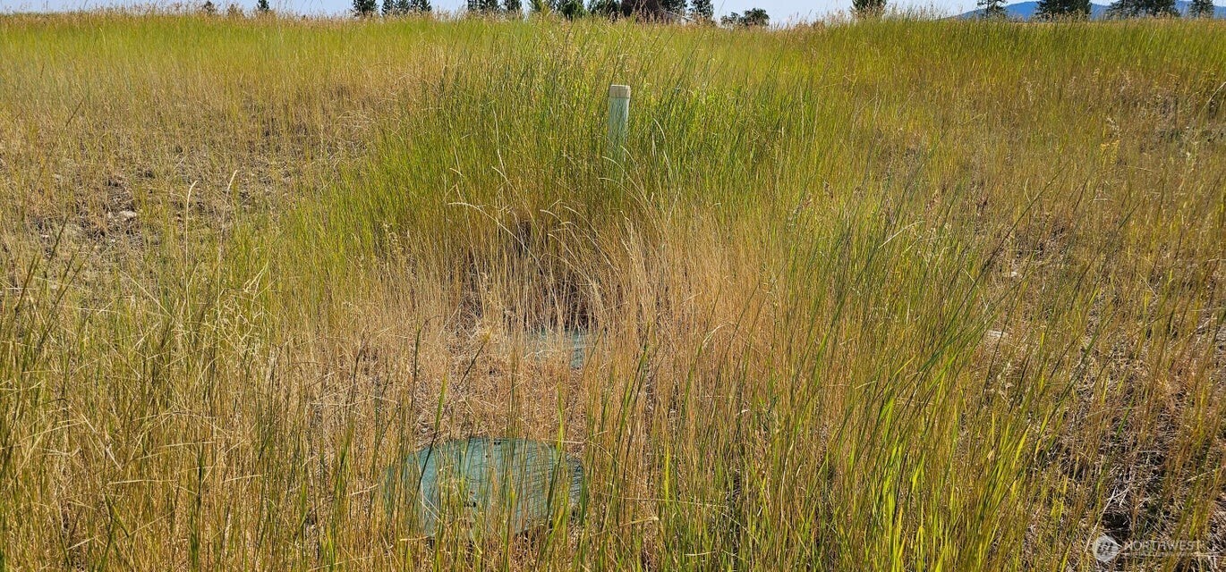 1041 Ward Way , Colville, WA 99114