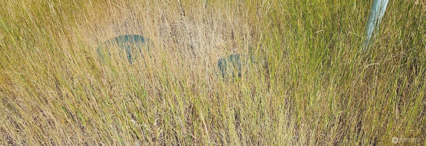 1041 Ward Way , Colville, WA 99114