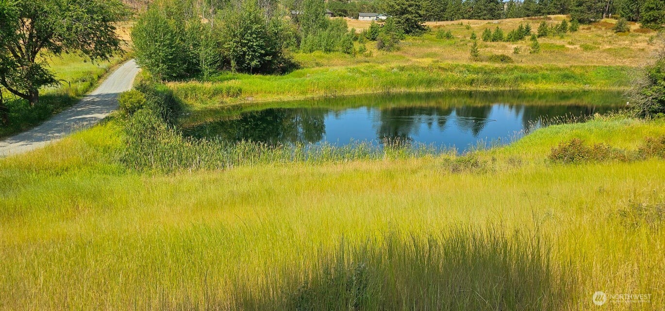 1041 Ward Way , Colville, WA 99114