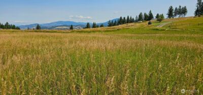 1041 Ward Way , Colville, WA 99114 - Photo 21