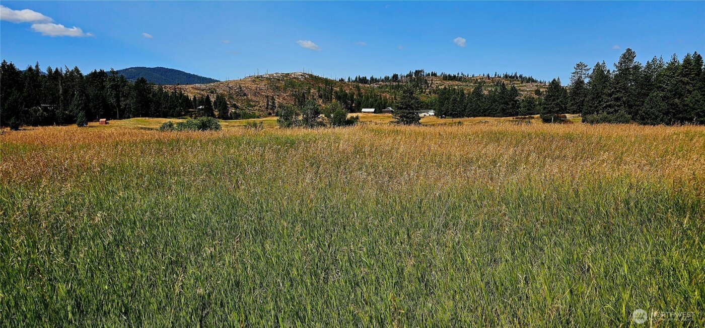 1041 Ward Way , Colville, WA 99114