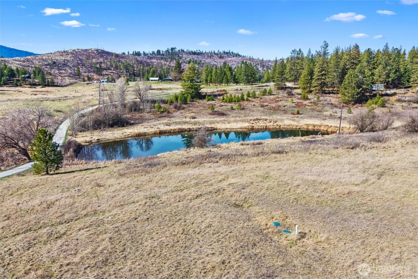 1041 Ward Way , Colville, WA 99114