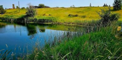 1041 Ward Way , Colville, WA 99114 - Photo 3