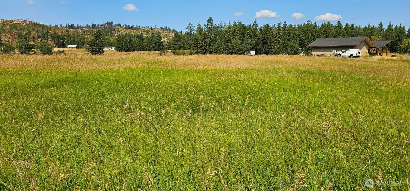 1041 Ward Way , Colville, WA 99114