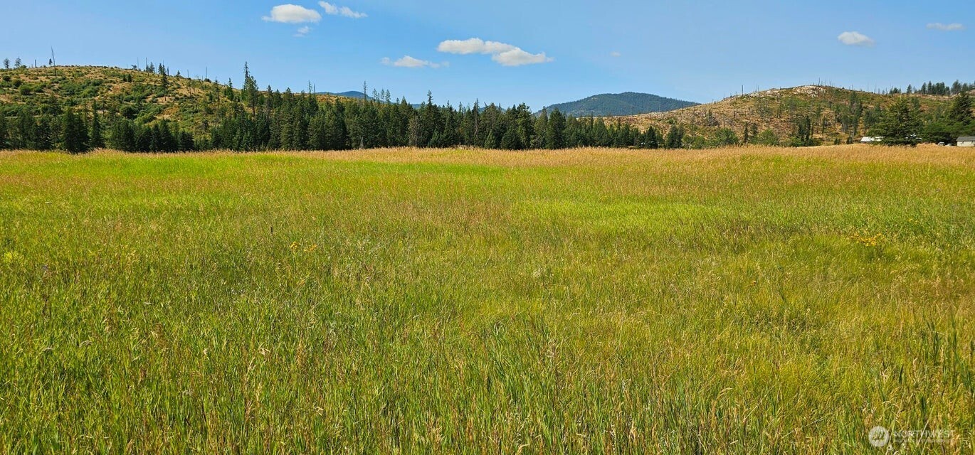 1041 Ward Way , Colville, WA 99114