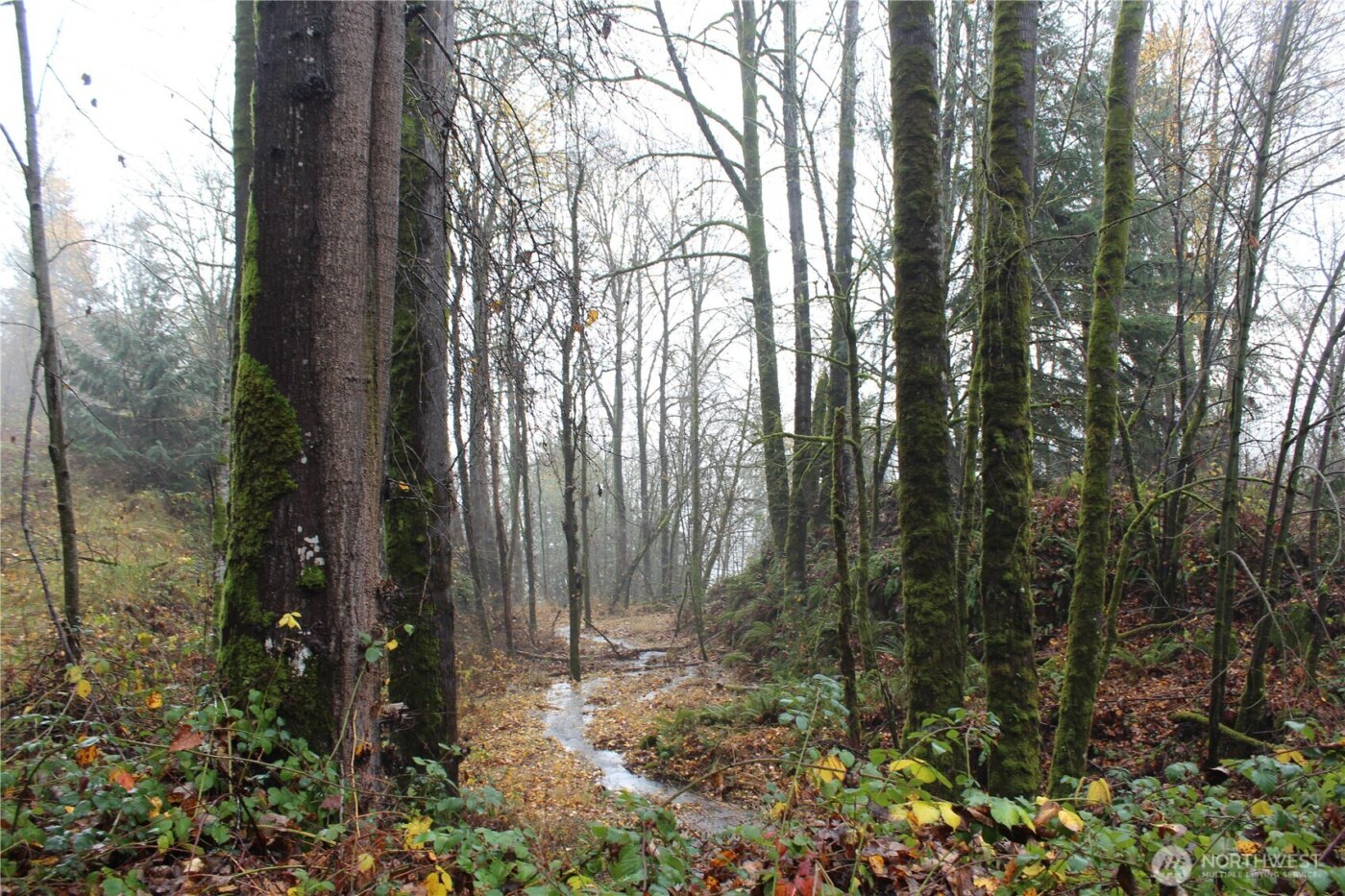 7104 Ocean Beach Highway , Longview, WA 98632