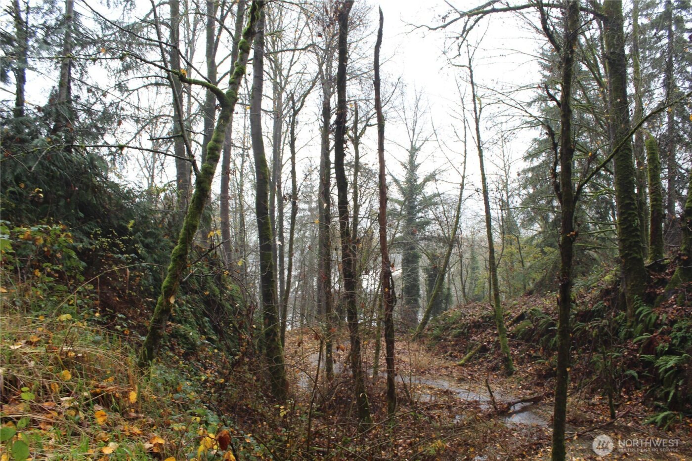 7104 Ocean Beach Highway , Longview, WA 98632