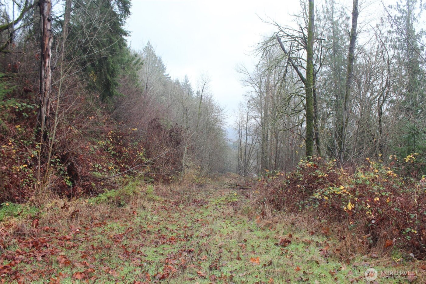 7104 Ocean Beach Highway , Longview, WA 98632