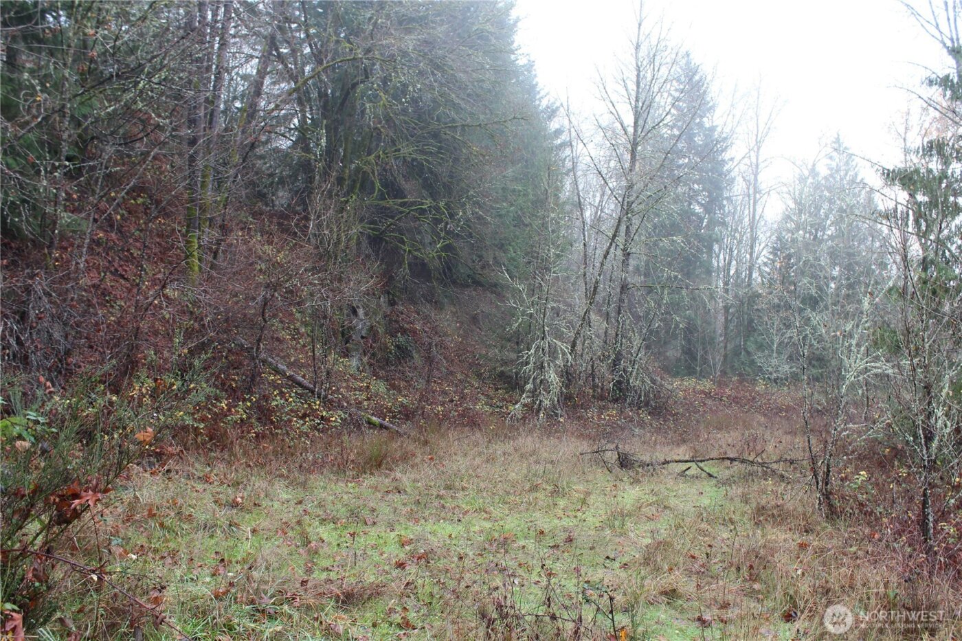 7104 Ocean Beach Highway , Longview, WA 98632