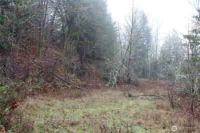 7104 Ocean Beach Highway , Longview, WA 98632 - Photo 22