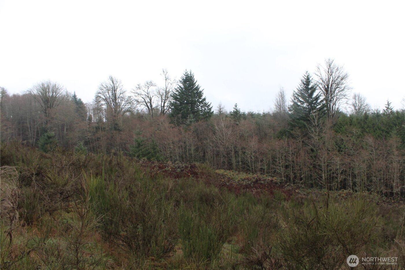 7104 Ocean Beach Highway , Longview, WA 98632