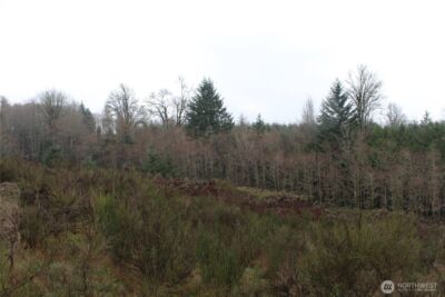 7104 Ocean Beach Highway , Longview, WA 98632 - Photo 8