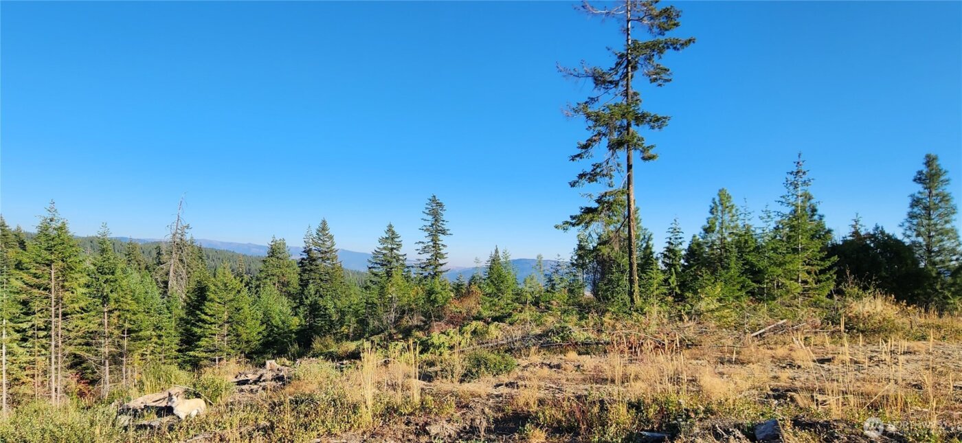 190 Skyline Ridge (Lot 55) Drive , Cle Elum, WA 98922