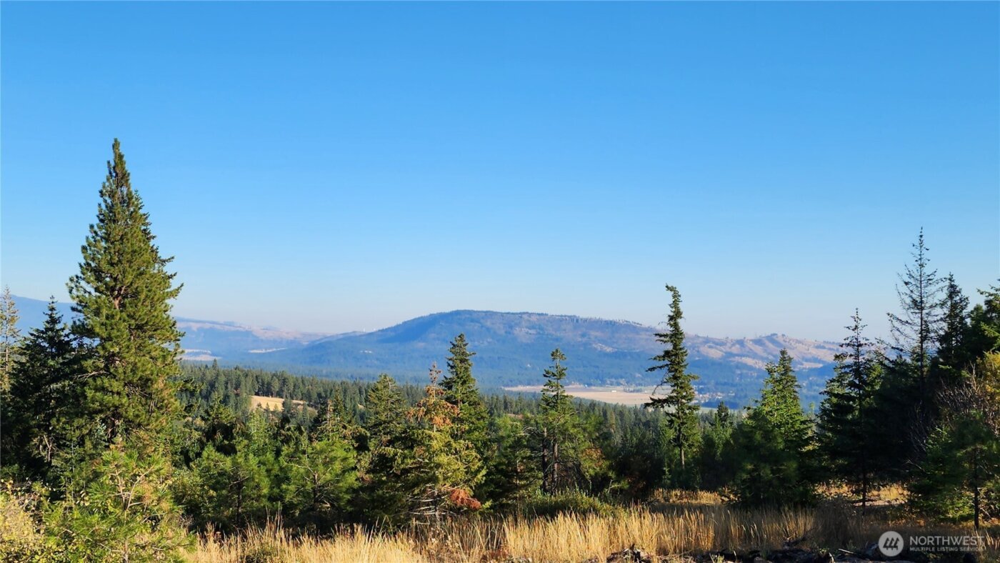 190 Skyline Ridge (Lot 55) Drive , Cle Elum, WA 98922