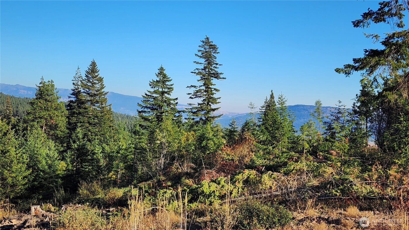 190 Skyline Ridge (Lot 55) Drive , Cle Elum, WA 98922