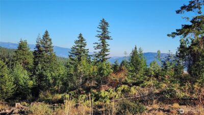 190 Skyline Ridge (Lot 55) Drive , Cle Elum, WA 98922 - Photo 5