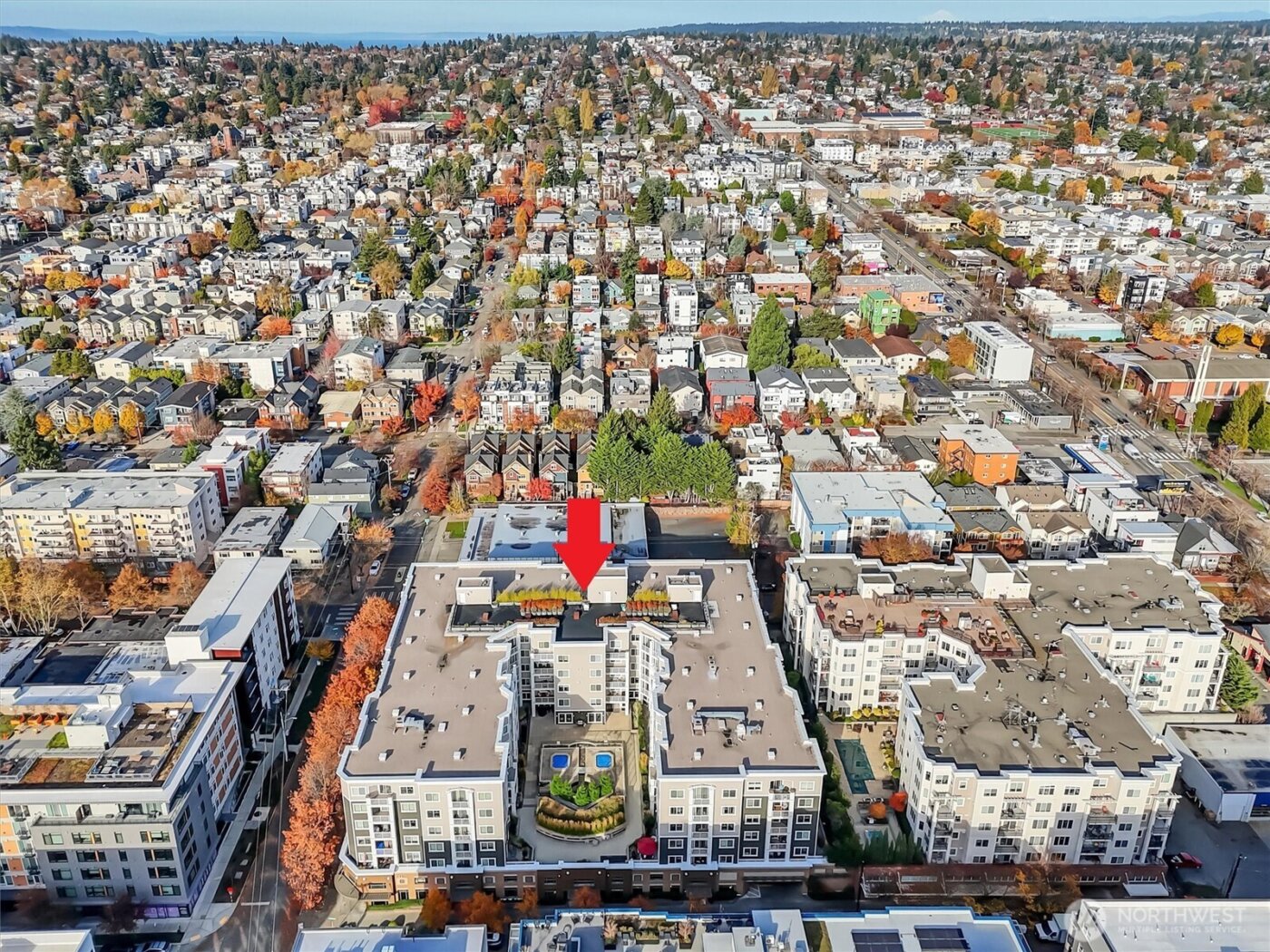 1545 NW 57th Street #306, Seattle, WA 98107