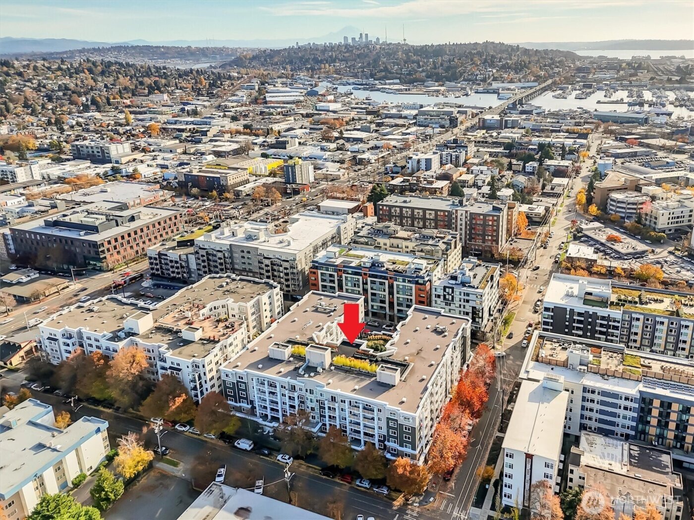 1545 NW 57th Street #306, Seattle, WA 98107