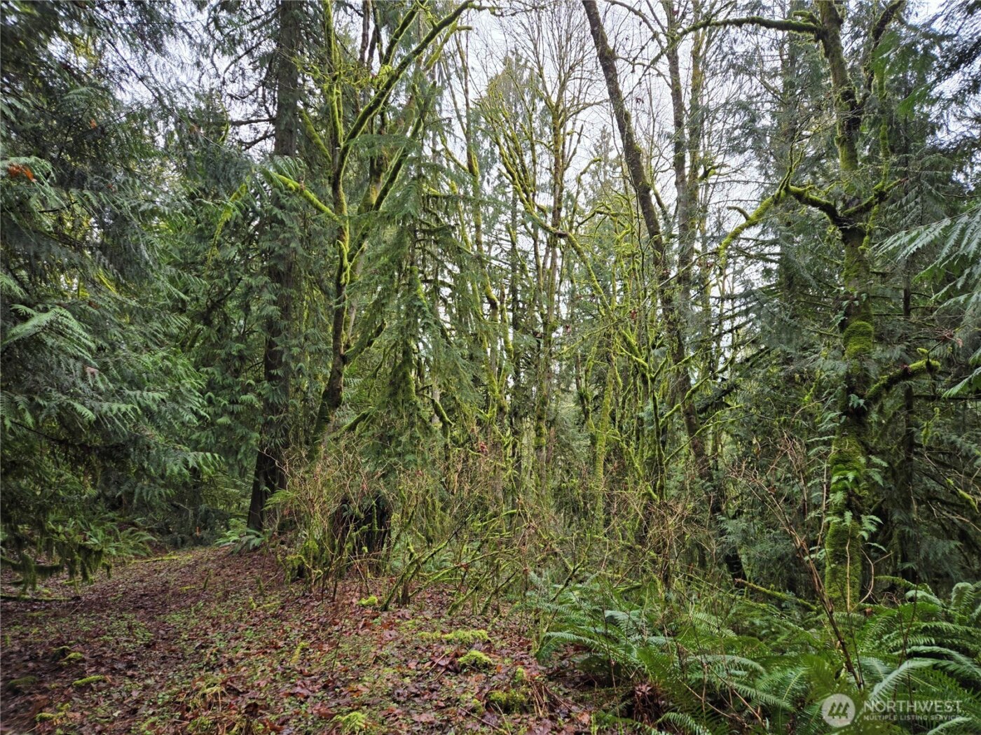 184 xx 123rd (Central Lot) Avenue NE, Arlington, WA 98223