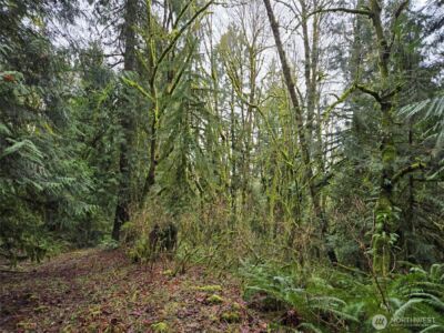 184 xx 123rd (Central Lot) Avenue NE, Arlington, WA 98223 - Photo 11