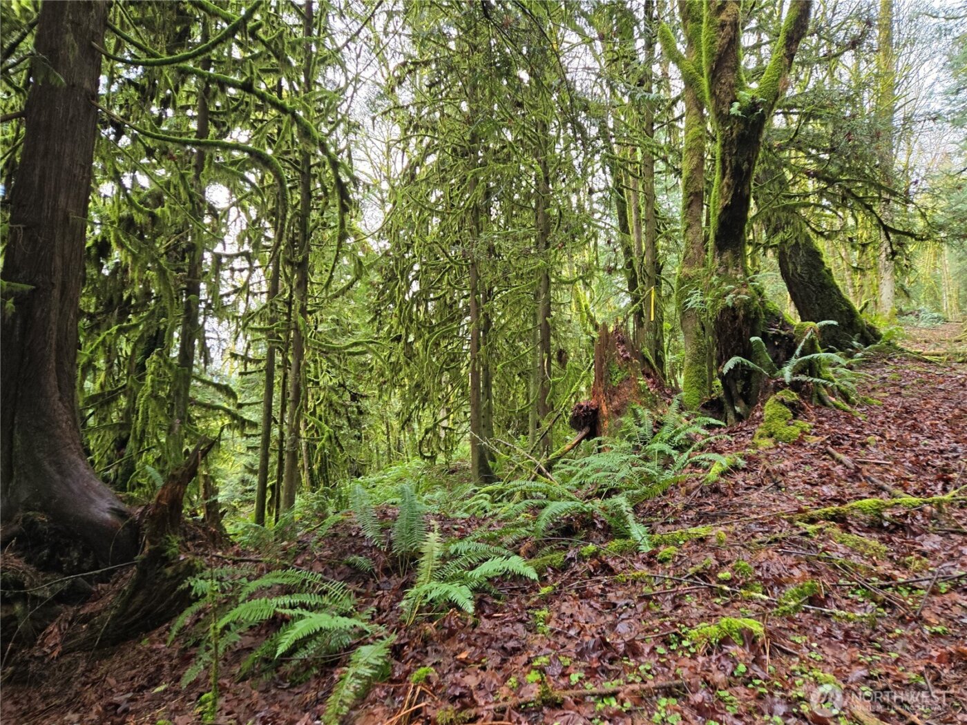 184 xx 123rd (Central Lot) Avenue NE, Arlington, WA 98223