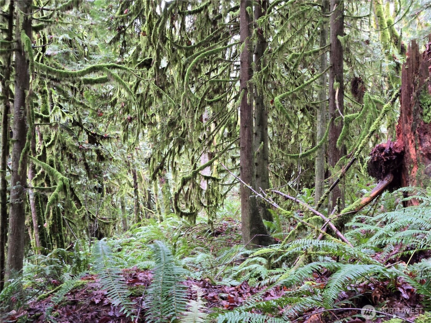 184 xx 123rd (Central Lot) Avenue NE, Arlington, WA 98223