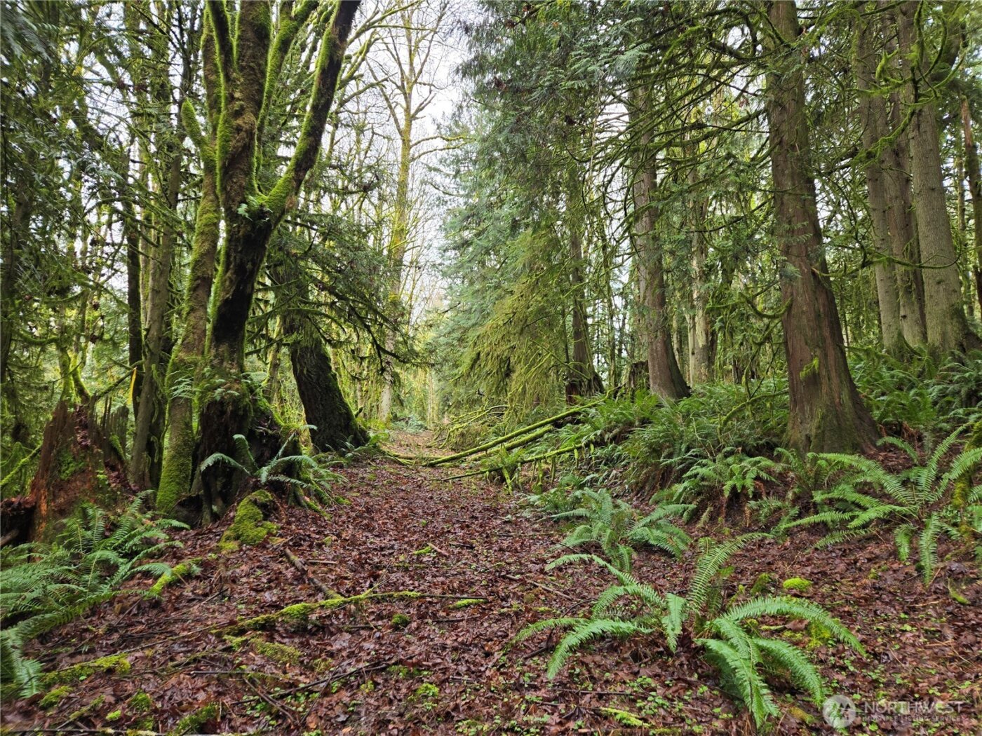 184 xx 123rd (Central Lot) Avenue NE, Arlington, WA 98223