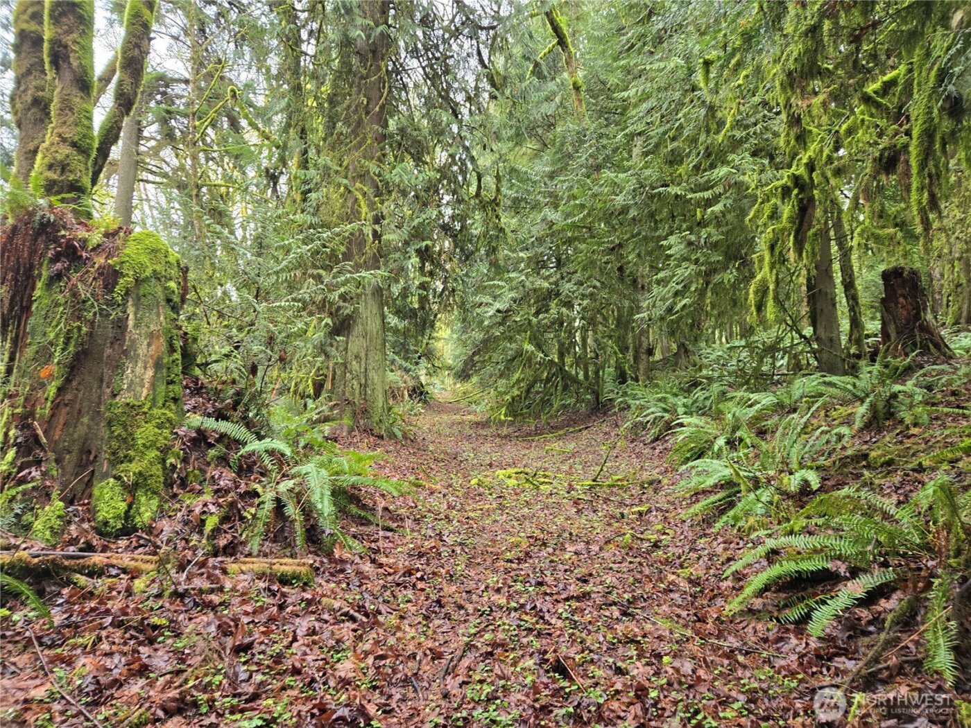 184 xx 123rd (Central Lot) Avenue NE, Arlington, WA 98223