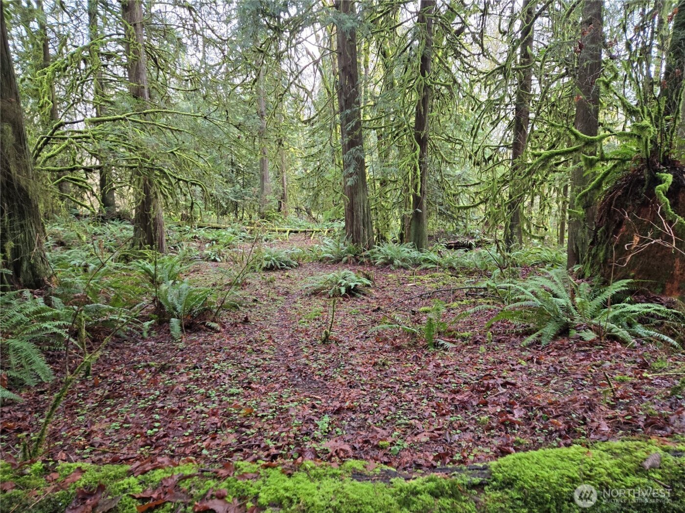 184 xx 123rd (Central Lot) Avenue NE, Arlington, WA 98223