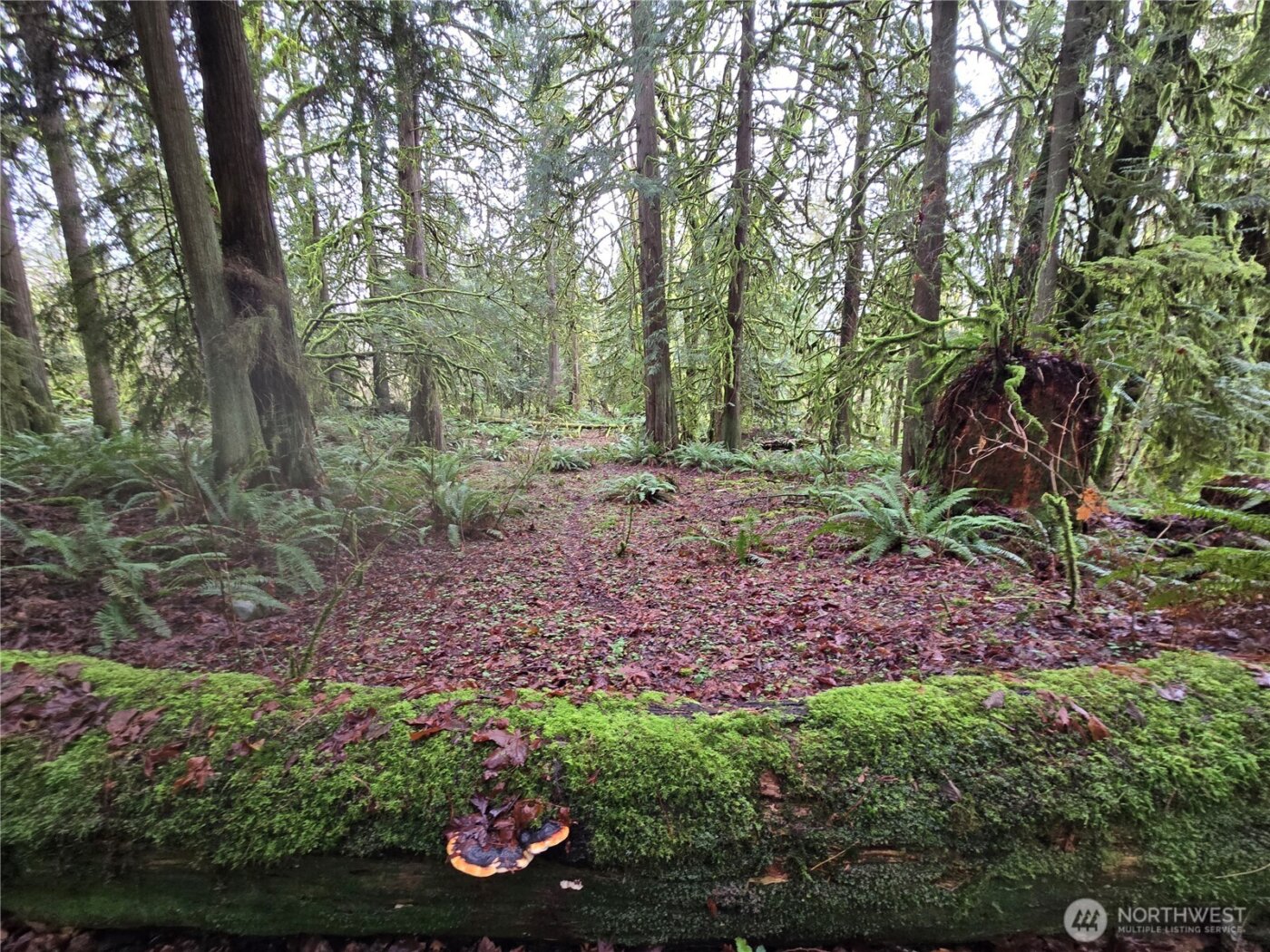 184 xx 123rd (Central Lot) Avenue NE, Arlington, WA 98223