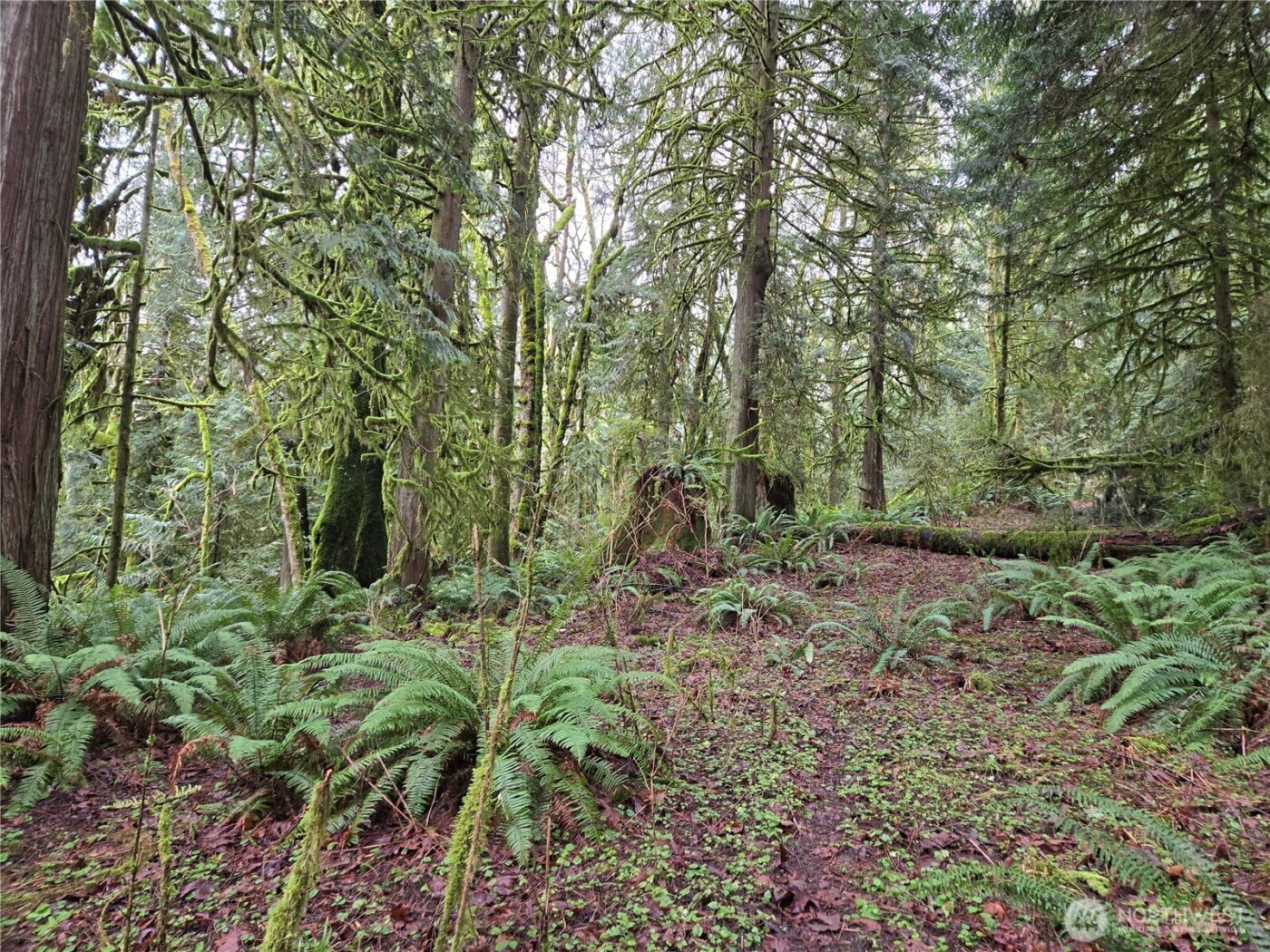 184 xx 123rd (Central Lot) Avenue NE, Arlington, WA 98223