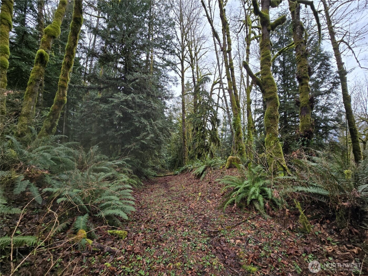 184 xx 123rd (Central Lot) Avenue NE, Arlington, WA 98223