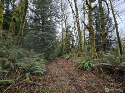 184 xx 123rd (Central Lot) Avenue NE, Arlington, WA 98223 - Photo 20