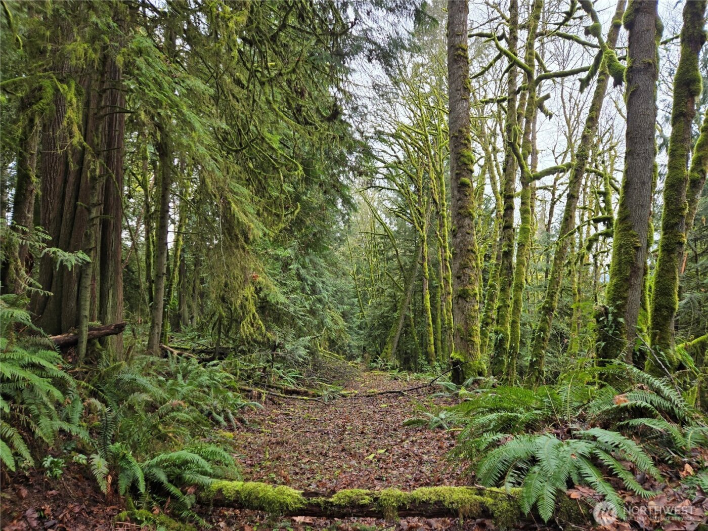 184 xx 123rd (Central Lot) Avenue NE, Arlington, WA 98223