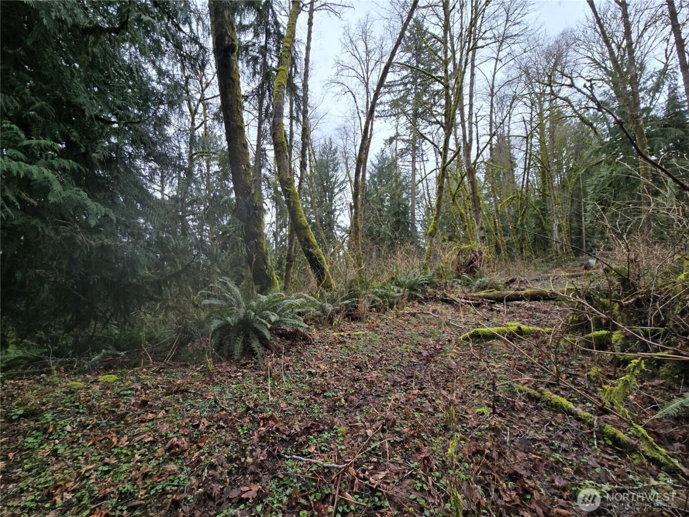 184 xx 123rd (Central Lot) Avenue NE, Arlington, WA 98223