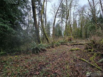 184 xx 123rd (Central Lot) Avenue NE, Arlington, WA 98223 - Photo 21