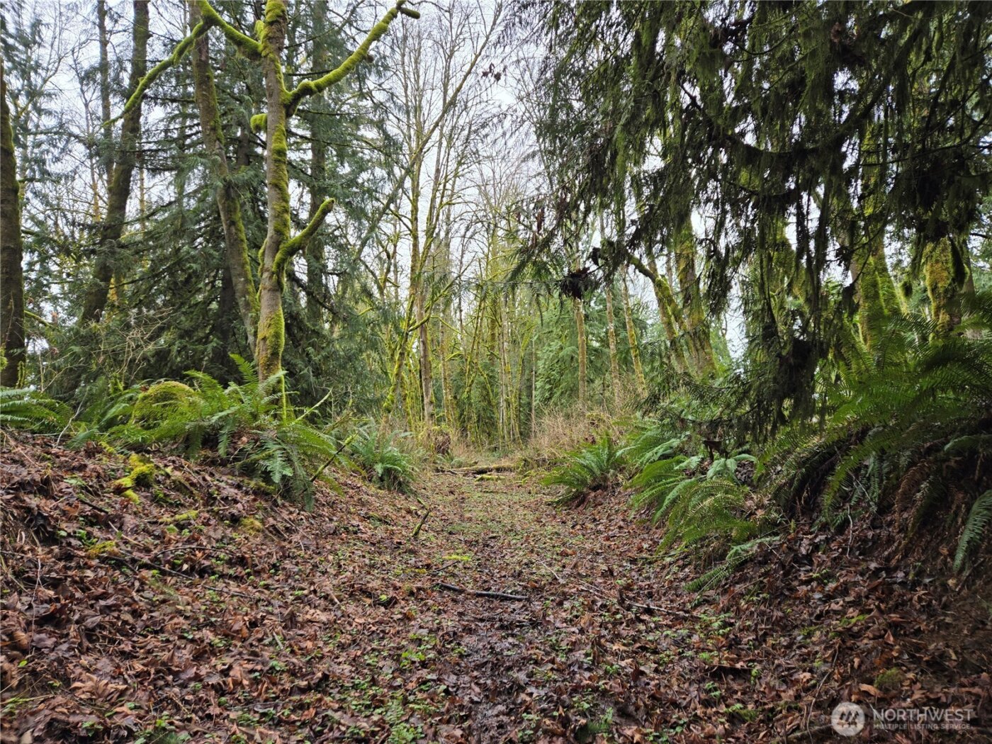 184 xx 123rd (Central Lot) Avenue NE, Arlington, WA 98223