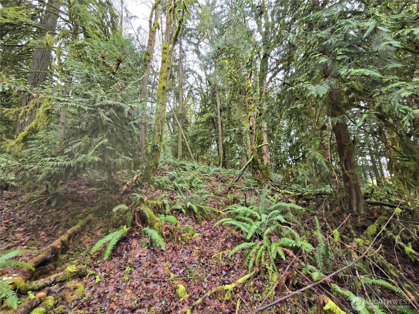 184 xx 123rd (Central Lot) Avenue NE, Arlington, WA 98223