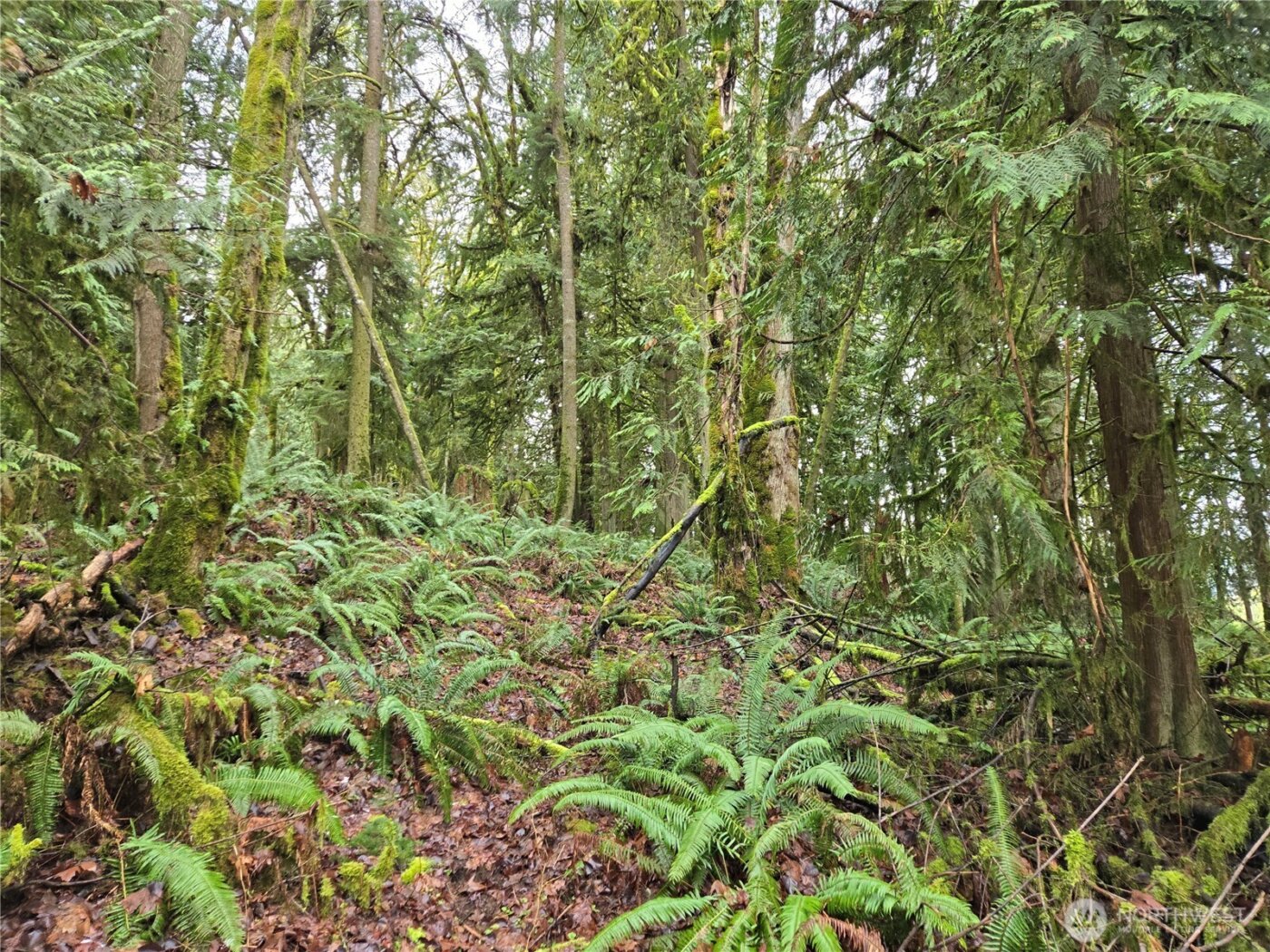 184 xx 123rd (Central Lot) Avenue NE, Arlington, WA 98223