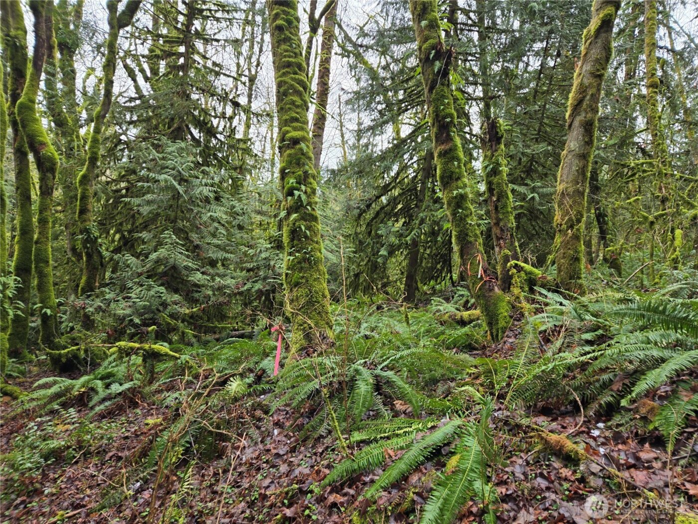 184 xx 123rd (Central Lot) Avenue NE, Arlington, WA 98223