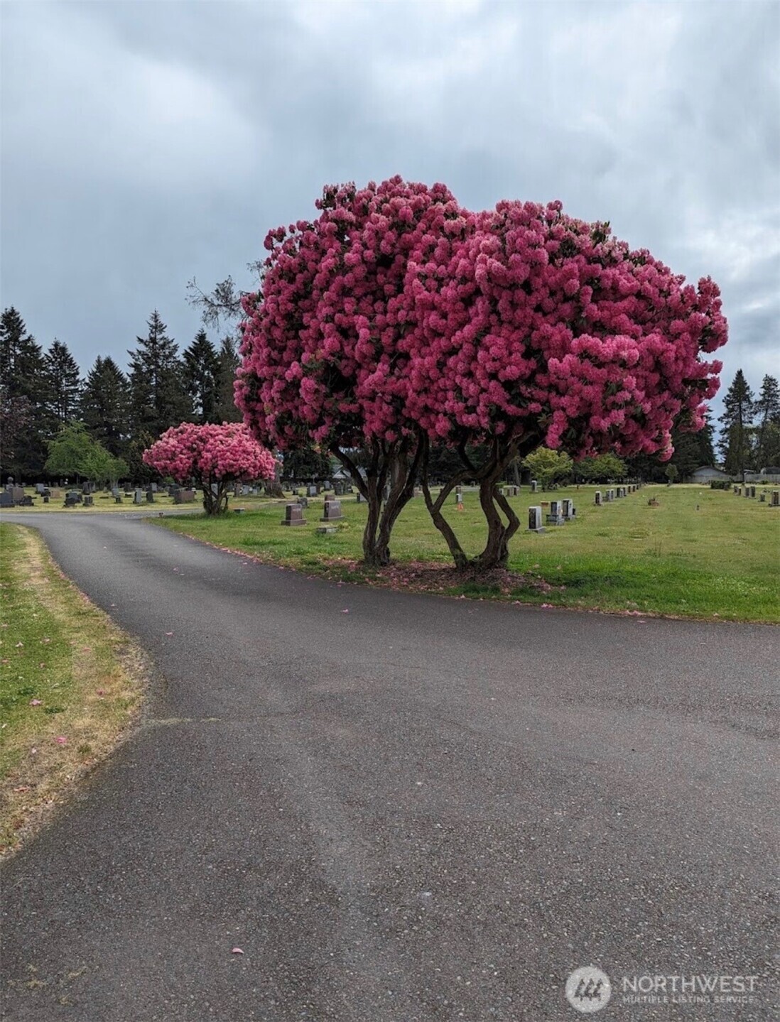 1113 Caveness Drive , Centralia, WA 98531