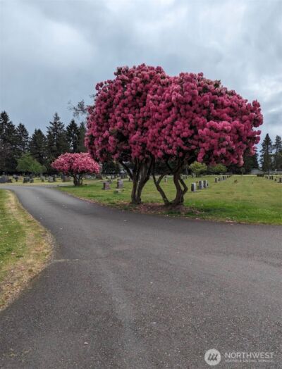1113 Caveness Drive , Centralia, WA 98531 - Photo 3