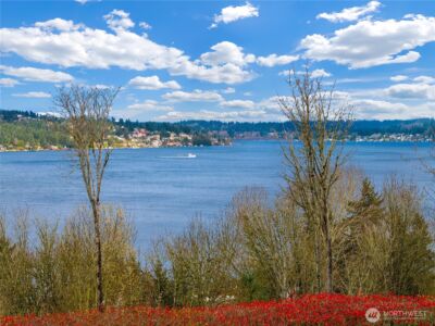 8005 Sand Point Way NE #A31, Seattle, WA 98115 - Photo 15