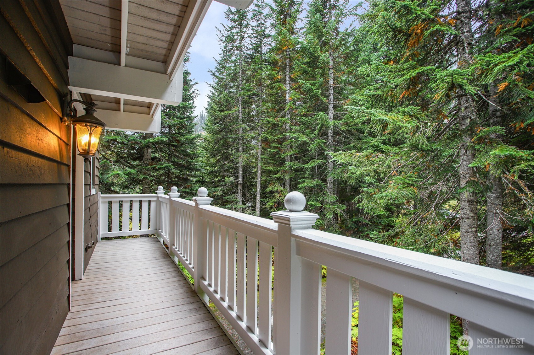 22 Alpental Street , Snoqualmie Pass, WA 98068