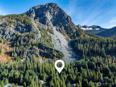 22 Alpental Street , Snoqualmie Pass, WA 98068 - Photo 3