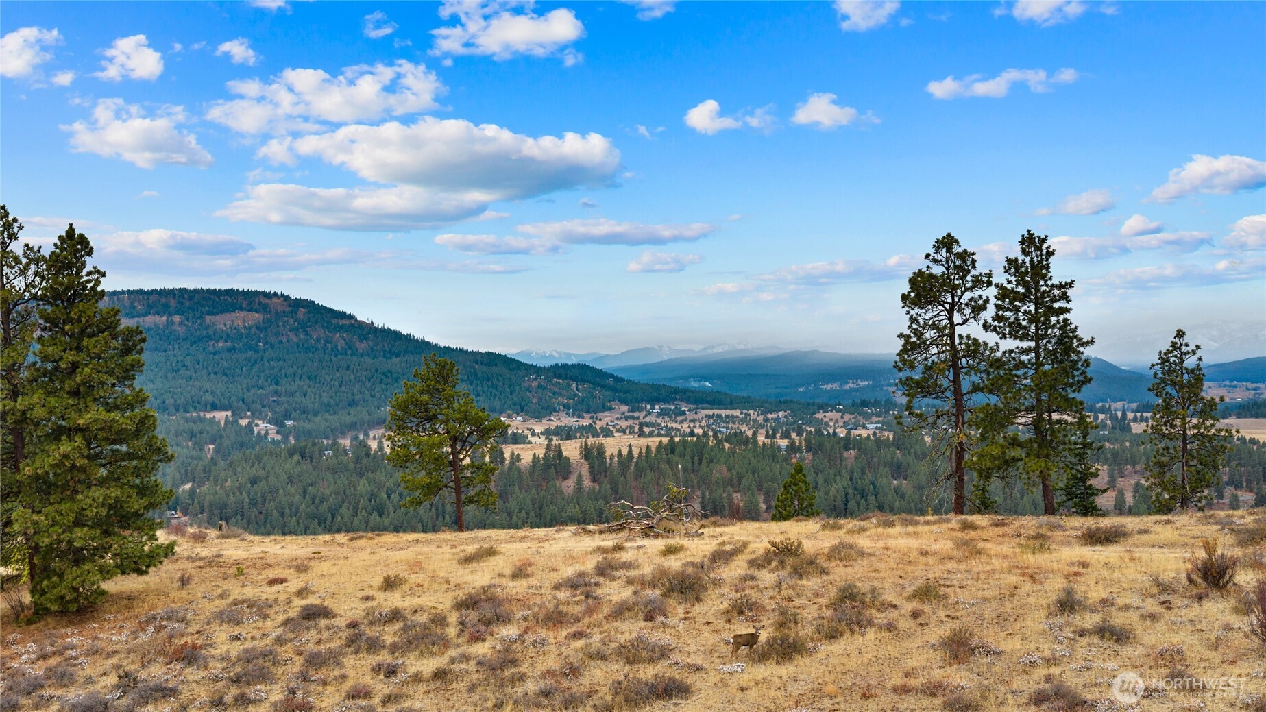 1371 Bettas Road , Cle Elum, WA 98926