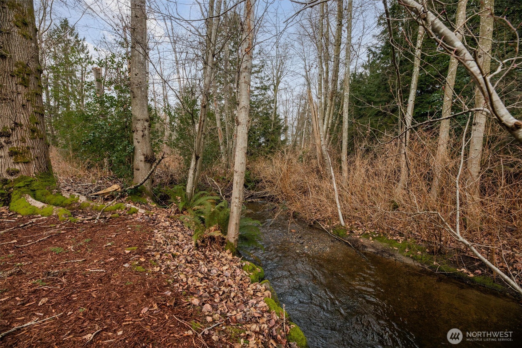 15216 23rd Place W, Lynnwood, WA 98087