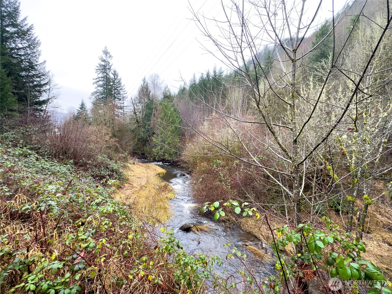 6174 US Hwy 12 , Morton, WA 98356