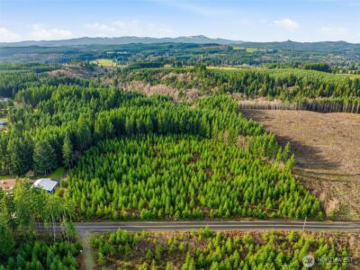 0 NA Nikula Road , Winlock, WA 98596 - Photo 1