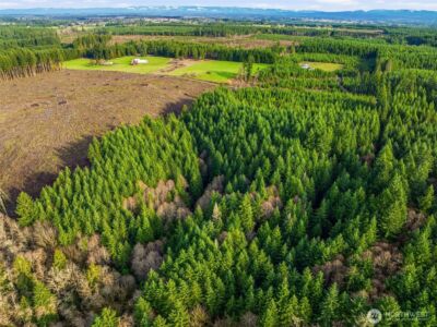 0 NA Nikula Road , Winlock, WA 98596 - Photo 5